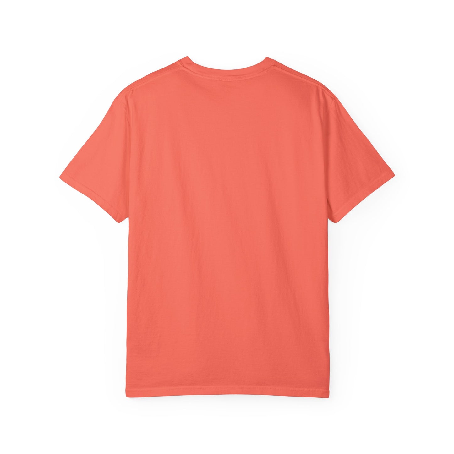 The Last Frontier Unisex Garment-Dyed T-shirt